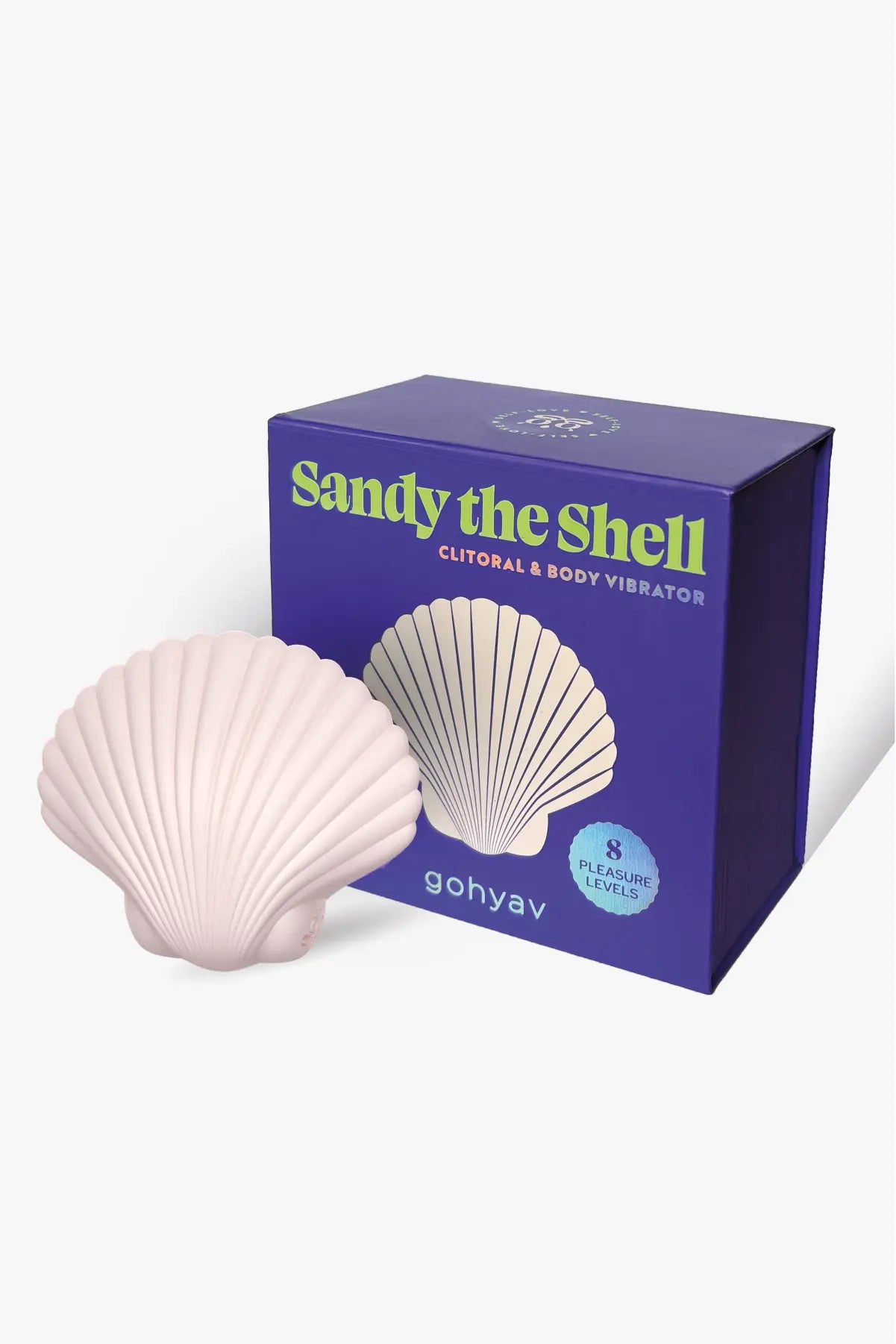 Sandy the shell