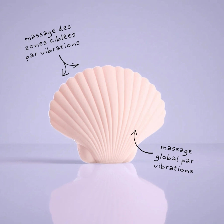 Sandy The Shell