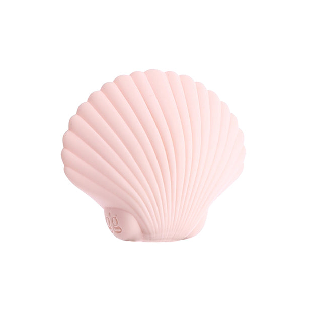 Sandy The Shell